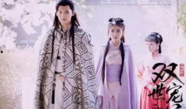 双世宠妃全集在线观看,双世宠妃全集在线观看，浪漫传奇等你解锁